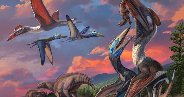 Hai quái vật bay chưa từng thấy "trỗi dậy" từ sa mạc Mông Cổ avatar1758533428213 1758533429053842191097 0 30 315 534 crop 17585334463441601493142jpg