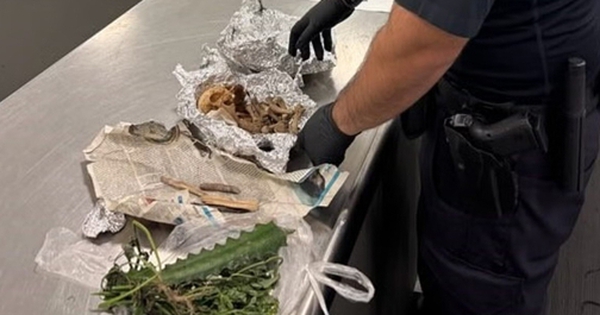 Phát hiện hài cốt người trong hành lý tại sân bay avatar1758600449616 17586004505681976949470 0 36 315 540 crop 1758600476872493108384jpeg