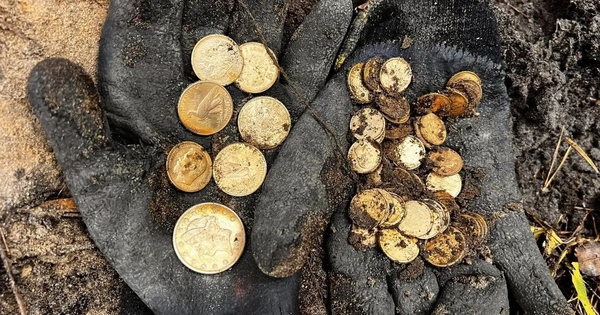 Vào rừng, 3 người đàn ông đào được "kho báu" chứa đầy vàng avatar1758601764269 17586017645471370049799jpg