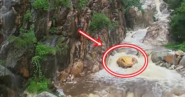 "Trăn khổng lồ" giữa suối khiến du khách hoảng sợ, ban quản lý nói: Nó đã ở đây hàng trăm triệu năm avatar1758613340475 1758613340728431509177 84 0 347 421 crop 17586133930821854438116jpg