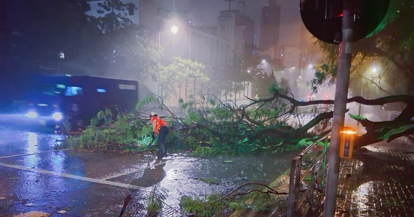 Siêu bão Ragasa: Sóng lớn "quất" Hồng Kông, hàng loạt thành phố Trung Quốc "nín thở" avatar1758675624687 17586756251121049554960jpg