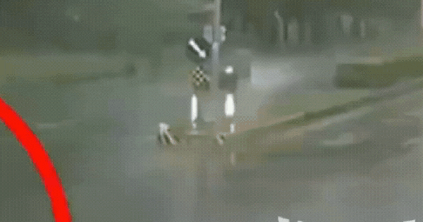 Xe cảnh sát hộ tống nghi phạm trong siêu bão Ragasa lao lên dải phân cách vỡ nát, nghi phạm tử vong tại chỗ avatar1758705736449 17587057370811572910630gifpng