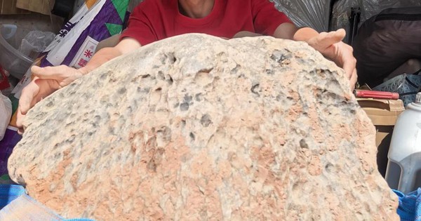 Đào đất hơn 10 tiếng, người đàn ông phát hiện vật thể lạ nặng tới 423 kg khiến giới khoa học kinh ngạc avatar1758878768446 17588787694601604818385jpg