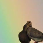 Loài chim "buồn nhất thế giới" avatar1758889909408 17588899099141542827641 0 86 315 590 crop 1758889932915443499803jpg