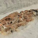 Phát hiện chấn động bên trong ngôi mộ 2.300 năm tuổi avatar1758952237619 1758952238006601456241png