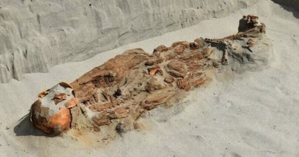 Phát hiện chấn động bên trong ngôi mộ 2.300 năm tuổi avatar1758952237619 1758952238006601456241png