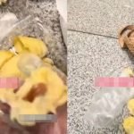 2 hành khách phải ăn sạch 3,5kg sầu riêng trong 10 phút trước chuyến bay: Chỉ có thể thốt lên 1 câu sau "khoảnh khắc sụp đổ" avatar1758958575769 17589585762671401124939jpg