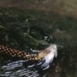 Nhìn ra sân, người dân sốc nặng khi chứng kiến cảnh tượng trước mắt avatar1758958857312 1758958860758380042969 0 23 315 527 crop 17589588792591898841643jpg