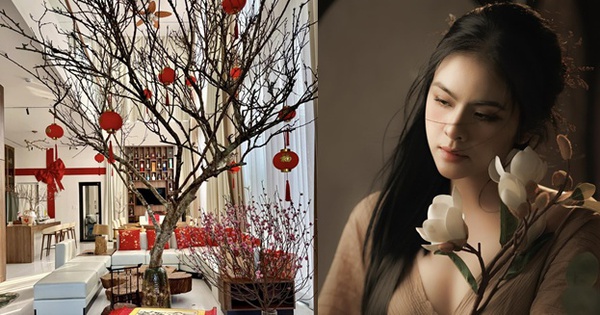 Nữ nghệ sĩ trẻ đẹp là CEO sở hữu spa làm đẹp, khu du lịch sinh thái 50.000m2, sinh 4 con cho đại gia avatar1758959003925 17589590049301133141815 0 0 327 624 crop 17589590585661506680971jpg