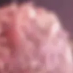 Số ca ung thư sẽ tăng mạnh trong 25 năm tới avatar1759025456578 1759025456833213759765png