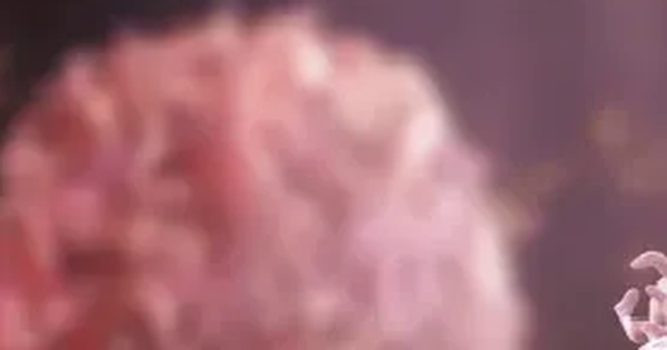 Số ca ung thư sẽ tăng mạnh trong 25 năm tới avatar1759025456578 1759025456833213759765png