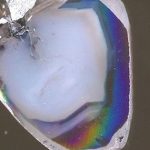 Phát hiện 2 viên kim cương chứa "điều không thể" avatar1759056175739 1759056176366558516204 0 0 315 504 crop 1759056194298604755070jpg