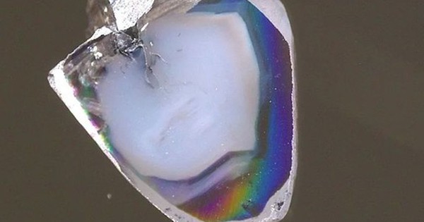 Phát hiện 2 viên kim cương chứa "điều không thể" avatar1759056175739 1759056176366558516204 0 0 315 504 crop 1759056194298604755070jpg