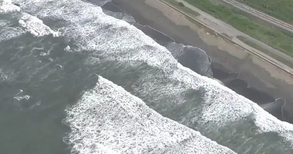 Chuyên gia cảnh báo nguy cơ động đất kèm sóng thần cực lớn tại Indonesia avatar1759113368023 17591133685151753737451png