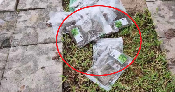 Nhìn thấy 16 chiếc túi nilon ở trước nhà, người phụ nữ nhanh chóng cùng chồng thông báo với chính quyền avatar1759127008513 17591270087912053208152png