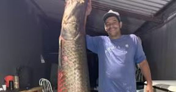 Ngư dân bắt được con cá hải tượng long khổng lồ nặng 130kg trên sông avatar1759204937639 1759204939227701851570jpg