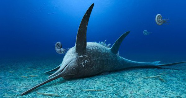 Hai quái vật biển 180 triệu tuổi hiện hình nguyên vẹn khó tin avatar1759214178960 17592141796292004960330 0 31 315 535 crop 17592142003101295513713jpg