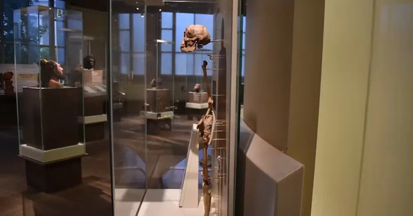 Bí ẩn loài người "tiến hóa ngược" ở Indonesia avatar1759293048625 17592930490971653867666jpg