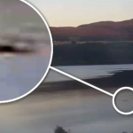 Gặp 'thủy quái' to như xe buýt bơi trên mặt hồ, thợ săn nói: Những gì tôi thấy là độc nhất vô nhị avatar1759307988943 17593079895301052547938png