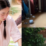 Nhà Hoa hậu Lương Thuỳ Linh ở Cao Bằng bị ngập sâu, cảnh tượng bên trong khiến nàng hậu thốt lên "quá xót xa" avatar1759312042850 1759312044127390579562 0 0 251 480 crop 1759312096278341055174png