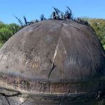 Chủ đất sốc nặng khi phát hiện vật thể lạ "lông lá" rơi trên cánh đồng avatar1759371993471 17593719938341539699680jpg