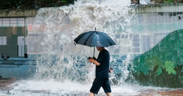 Bão Matmo hình thành trên Biển Đông, dự báo gây mưa lớn tại Hong Kong (Trung Quốc) avatar1759392683292 1759392685508787232407png