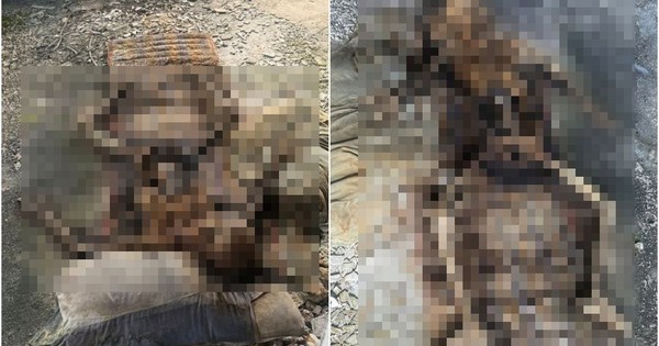 Điện thoại đánh mất bỗng được trả lại, chủ nhân rụng rời khi thấy loạt ảnh kỳ quái bên trong avatar1759409944926 1759409945278185876245jpg