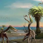 Quái vật chưa từng biết xuất hiện ở Brazil, sải cánh tới 5 mét avatar1759477190805 1759477191264447739103 0 56 315 560 crop 17594772032871405200124jpg