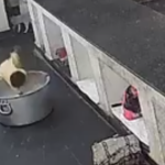 Bé gái 17 tháng tuổi tử vong thương tâm sau khi ngã vào nồi sữa nóng trong bếp trường học avatar1759486916293 17594869167191035061220png