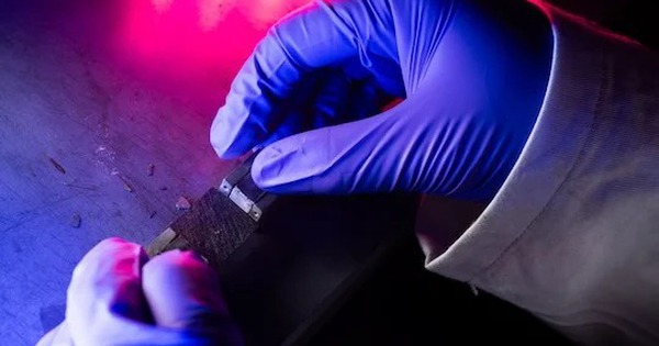 Phát minh đột phá của Mỹ có thể khiến "gã khổng lồ đất hiếm" dè chừng avatar1759584085087 1759584085888458149579jpg