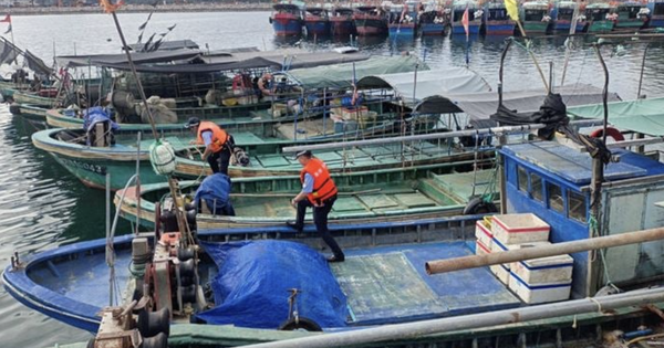 Trung Quốc nâng cấp ứng phó khẩn cấp với bão Matmo, sơ tán hơn 150.000 người trong một tỉnh avatar1759636022239 175963602264022629540png