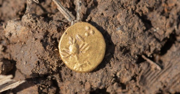 Tìm thấy kho báu chứa toàn tiền vàng, bạc quý giá avatar1759663421828 1759663422316145957620jpg