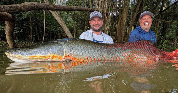 Cần thủ câu được con cá khổng lồ dài 2,2 mét, nặng 130kg trên sông avatar1759826951874 17598269522621095981020 0 28 315 532 crop 1759826971271530080618jpg