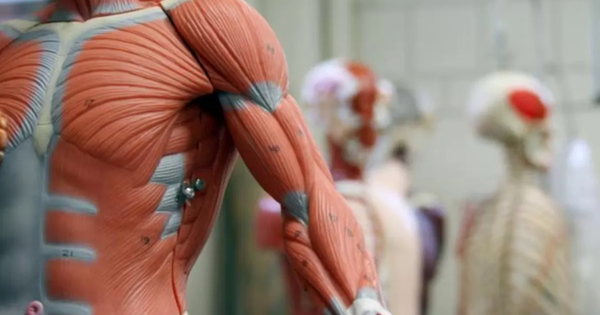 Đại học Harvard đối mặt kiện tụng vì bê bối bán thi thể hiến tặng avatar1759885775122 1759885775457226913337png