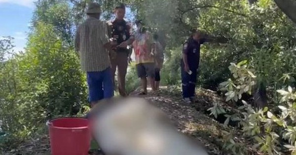 Người đàn ông 39 tuổi tử vong vì bị kiến cắn khi đang tỉa cây avatar1759914899473 17599149023761537813780 0 36 315 540 crop 1759914910630175771667jpg