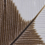 1 thứ nặng chưa tới 10gram nhưng đắt gấp 35 lần giá vàng: Tìm thấy từ 1 cá thể cực kỳ quý hiếm, nghi đã hoàn toàn tuyệt chủng avatar1759914947848 17599149481311751874716png