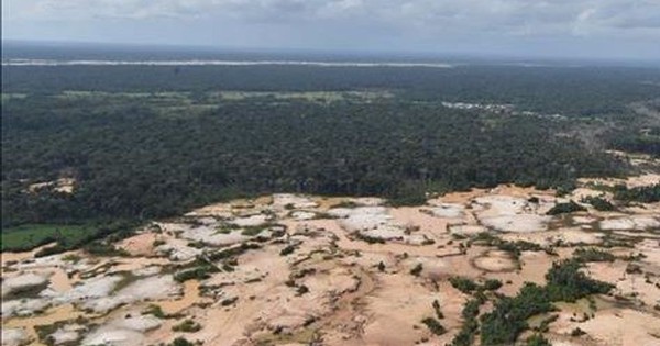 “Cơn sốt vàng” tàn phá 140.000 ha rừng Amazon avatar1760144262545 17601442631031365559720 0 0 534 854 crop 17601442763831859742359jpg