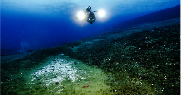 Phát hiện 40 "lỗ thở" bất thường dưới đáy biển Nam Cực, chuyên gia nói: Trái Đất có thể lâm nguy avatar1760175378766 17601753791441032817111png