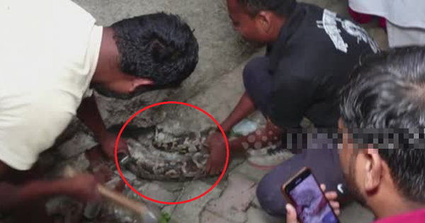 Nhìn ra ngoài đường, người đàn ông bỗng gặp cảnh tượng nổi da gà avatar1760327813884 17603278142531083073437 0 20 315 524 crop 17603278342031666046287png