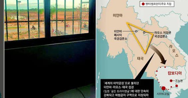 Tâm sự run rẩy đến từng chữ của nạn nhân bị bắt ép lừa đảo ở Campuchia: Không có nhân quyền trong “chuồng chó” này avatar1760336553442 17603365541351405529583 0 0 354 566 crop 17603365683581198046596jpg