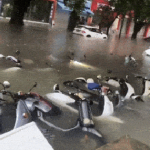 Cảnh tượng mưa ngập ở Thượng Hải khiến nhiều người giật mình, nhận xét: "Thật sự không tin nổi" avatar1760368495275 1760368495686537690011gifpng