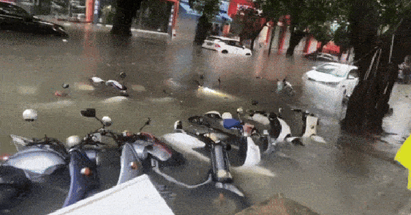 Cảnh tượng mưa ngập ở Thượng Hải khiến nhiều người giật mình, nhận xét: "Thật sự không tin nổi" avatar1760368495275 1760368495686537690011gifpng