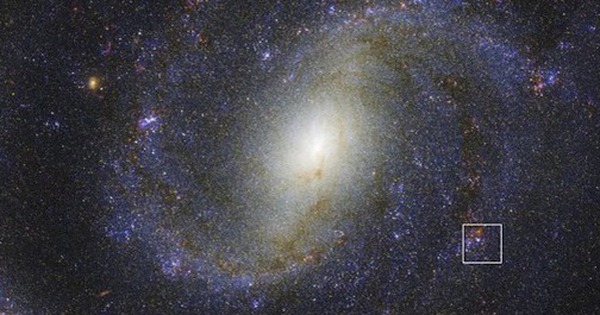 Phát hiện ngôi sao "bị nguyền rủa" avatar1760583843555 1760583844152899351262 0 53 315 557 crop 17605838619872047610955jpg