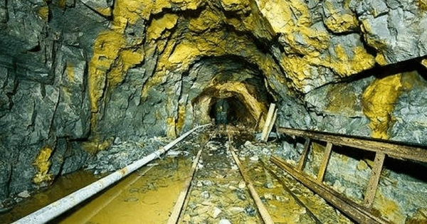 Khoan sâu 141 lỗ, phát hiện mỏ vàng lớn trữ lượng hơn 40 tấn sau 6 năm khảo sát avatar1760671928868 1760671929111799050726png