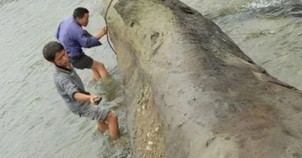 Sông sâu chảy xiết bỗng cạn khô cả đáy, bảo vật nghìn năm được phát hiện khiến cả làng hân hoan avatar1760700944429 1760700945517759496153png