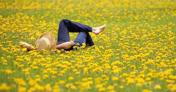 Mùa xuân đã thay đổi avatar1760788196733 17607881973401542292545 0 0 315 504 crop 1760788202240210739299jpg