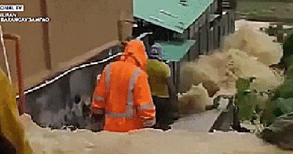 Bão Fengshen: Dự báo đổ bộ 5 lần liên tiếp vào Philippines, đường đi khó lường avatar1760857189684 1760857190130522012382 0 82 315 586 crop 17608572116301559827442png