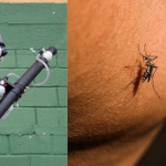 Loại virus khiến Trung Quốc phải kích hoạt kiểm soát dịch như thời Covid-19 đã xuất hiện ở quốc gia khác avatar1760951373942 1760951374536588232009 0 144 758 1357 crop 17609513913331679917062png