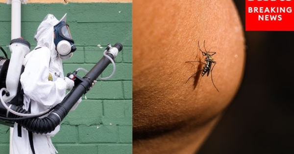 Loại virus khiến Trung Quốc phải kích hoạt kiểm soát dịch như thời Covid-19 đã xuất hiện ở quốc gia khác avatar1760951373942 1760951374536588232009 0 144 758 1357 crop 17609513913331679917062png