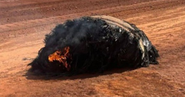 Vật thể bí ẩn rơi xuống từ vũ trụ avatar1760955939000 1760955939602116441106 0 43 315 547 crop 176095595145952536557jpg